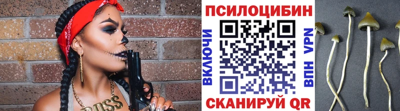 кракен рабочий сайт  Пойковский  Галлюциногенные грибы GOLDEN TEACHER 
